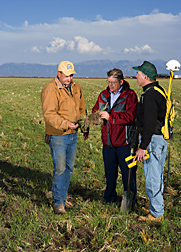 Farmer and soil scientists examine volunteer barley roots that protect soil from erosion and contribute underground biomass: Click here for full photo caption.