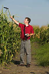 Ecologist measures solar radiation intercepted by different sweet corn hybrids: Click here for full photo caption.