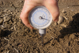 A geotester used to measure the strength of soil crust: Click here for photo caption.