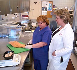 ARS nutritionist Susan Raatz (right) and cook Doris Zidon prepare farm-raised salmon fillets for a research study at the Grand Forks nutrition center: Click here for photo caption.