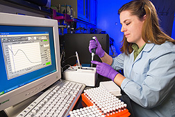 Technician Jacky Carnahan determines the quality and amount of DNA used for gene haplotype determination: Click here for photo caption.