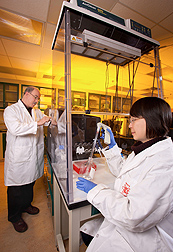 Nutritionist Harry Dawson (left) checks the performance of the DNA sequencer, while molecular biologist Celine Chen prepares samples of pig macrophages (immune cells) for sequencing: Click here for photo caption.