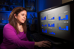Microbiologist Gloria Solano-Aguilar evaluates intestinal bacterial data from pigs consuming high-fat and low-fat diets: Click here for full photo caption.