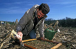 Soil scientist Martin Shipitalo collects worms for identification. Click here for full photo caption.