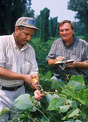 Technician and plant pathologist examine kudzu sample: Click here for full photo caption.
