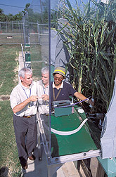Soil scientist and plant physiologist collect soil respiration measurements: Click here for full photo caption.