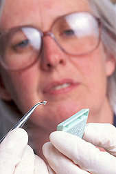Microbiologist prepares a tissue sample: Click here for full photo caption.