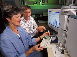 Chemist and research leader review results from analyses of flower volatiles: Click here for full photo caption.