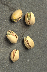 Cinco pistachos con cáscaras. Enlace a la información en inglés sobre la foto