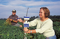 Technicians monitor telemetry equipment used in a peanut crop: Click here for full photo caption.
