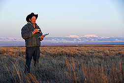 In the early morning, University of Idaho manager of sheep operations and range resources records male and female sage grouse numbers as the birds congregate on leks: Click here for full photo caption.