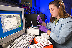 Technician determines the quality and amount of DNA used for prion gene haplotype determination: Click here for full photo caption.