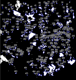Computer-generated binary image showing high levels of trash in a sample of cotton before ginning: Click here for full photo caption.
