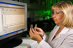 Technician performs spectrophotometric analysis of a yellow zein solution (right) and decolorized and deodorized zein (left): Click here for full photo caption.