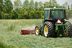 A front-mounted roller-crimper rolling over a cover crop: Click here for photo caption.