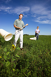 Entomologist and technician use sweep nets to collect beneficial insects in an agricultural habitat: Click here for full photo caption.