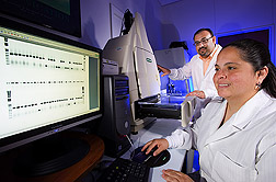 Molecular biologist and technician perform a DNA analysis of psyllid populations collected in North and South America: Click here for full photo caption.