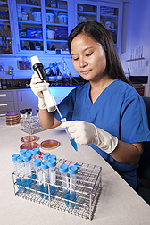 Graduate student Jacquelyn Escarcha inserts samples developed from cattle fecal waste into a solution that detects Salmonella: Click here for photo caption.