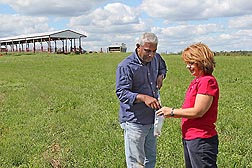 ARS microbiologist Kim Cook (right) and Western Kentucky University soil scientist Annesly Netthisinghe collect soil samples from a 5-acre experimental feedlot in western Kentucky for analysis of nutrients, antibiotics, and microorganisms: Click here for photo caption.