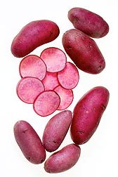 High-nutrient, great-tasting AmaRosa potato variety, a fingerling midseason specialty potato with smooth, vibrant red skin and bright red flesh.