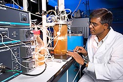 At the ARS Bioenergy Research Unit in Peoria, Illinois, chemical engineer Nasib Qureshi observes and controls a fermentor in which butanol is produced from corn stover and recovered simultaneously with a vacuum.