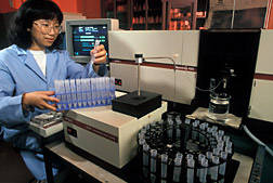 A graduate student analyzes samples extracted from hyperaccumulator plants. Click here for full photo caption.