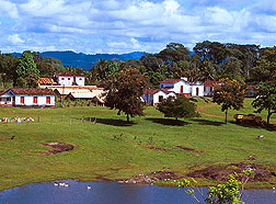 A small farm near Urucuca, Brazil.