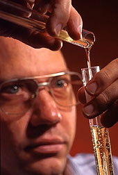 Chemical engineer examines refined lesquerella oil.