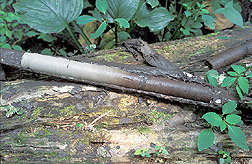 Soil core: Click here for full photo caption.
