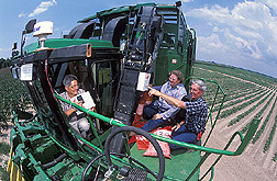 Agricultural engineering professor, plant physiologist, and technician on a cotton picker: Click here for full photo caption.