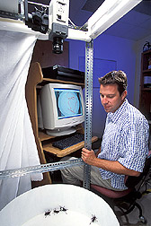 Ecologist uses a computerized video tracking system: Click here for full photo caption.