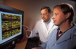Research leader and microbiologist examine an onscreen image: Click here for full photo caption.