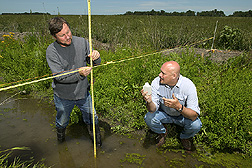 Technician measures a drainage ditch next to a grass seed field while plant physiologist collects a sample: Click here for full photo caption.