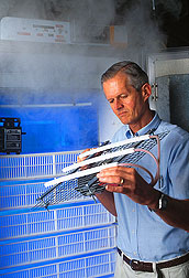 Agricultural engineer demonstrates an electrostatic air-cleaning system: Click here for full photo caption.