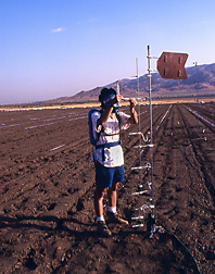 Measuring fumigant concentration at several distances above the soil surface, a student adjusts the rate of airflow through a charcoal sample collector: Click here for full photo caption.