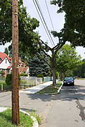In the fight between tree and power line, the victor is often the power lines, with trees needing heavy pruning that can lead to unstable, unsafe branches: Click here for photo caption.