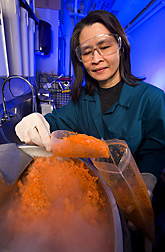 Chemist processes frozen carrot samples before testing them for residue of the herbicide glyphosate: Click here for full photo caption.