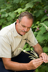 Curator, Woody Landscape Plant Germplasm Repository, Beltsville, Maryland, studies the flower of black cohosh, Actaea racemosa: Click here for full photo caption.