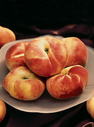 The ARS germplasm repository at Davis, California, contains many peach specimens, such as Galaxy (shown here), developed by ARS breeders in Parlier, California: Click here for photo caption.