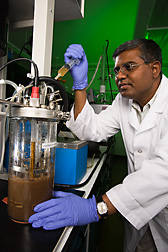 Chemical engineer adds enzymes into a bioreactor to simultaneously hydrolyze wheat straw into simple sugars and produce butanol: Click here for full photo caption.