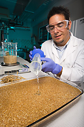 Technician combines dilute sulfuric acid with ground wheat straw as a pretreatment: Click here for full photo caption.