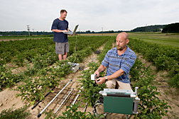 In a Beltsville potato field, an engineer (right) measures leaf photosynthesis as a technician downloads lightbar data, which measures light interception in the crop: Click here for full photo caption.