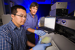Technician, left, and chemist use high-throughput enzyme library screening to discover improved enzymes: Click here for full photo caption.