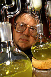 Chemist extracts oil from Cuphea seeds: Click here for full photo caption.