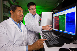 Plant pathologist (left) and postdoctoral research associate review results of a proteomics experiment to identify maize kernel proteins that are associated with aflatoxin resistance: Click here for full photo caption.