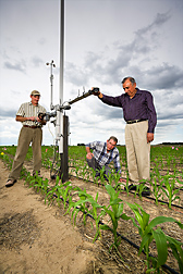 ARS agricultural engineers adjust the height of solar radiation instruments to 1 meter above the corn canopy: Click here for full photo caption.