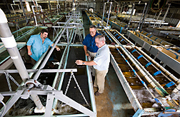 Catfish farmer Bobby Jones (left) and his father observe the “see-saw” egg incubator with co-developer fish biologist (center): Click here for full photo caption.