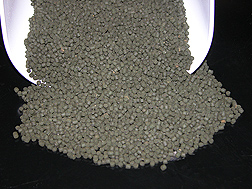 Fishmeal-free diet for California yellowtail containing 30 percent spirulina: Click here for photo caption.