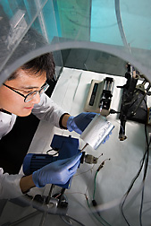 Chemist examines a film made from nanofibers after electrospinning on aluminum foil: Click here for full photo caption.