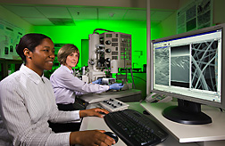 Technician (left) and botanist examine scanning electron microscopy images of electrospun nanofibers containing fish gelatin: Click here for full photo caption.